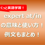 expert at/in