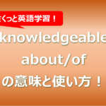 knowledgeable about/of